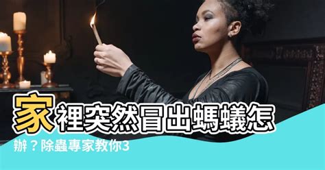 突然有螞蟻|家裡小螞蟻不斷冒出怎麼辦？內行用1滅蟲好物「免接觸又持久」…